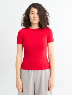 Car Tee i Apple