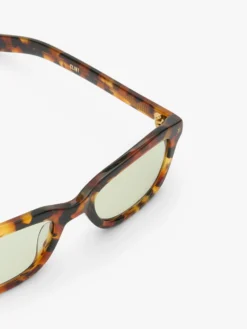 Clint Solbriller i Classic Havana og Chill Out Green Lens