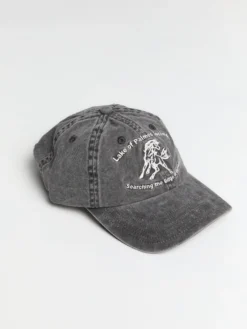 Lake 6-Panel Kasket i Koksgrå