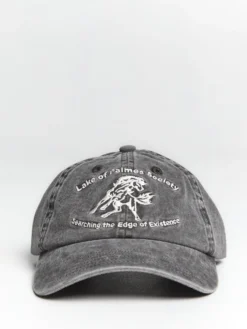 Lake 6-Panel Kasket i Koksgrå
