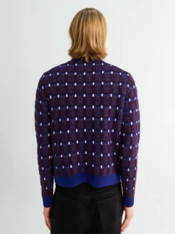 Longsleeved Jumper i Eudialyte