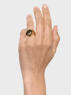 Palomino Saddle Ring i Forgyldning